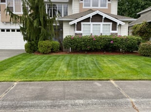 Yashpal S.'s Lawn Care service result