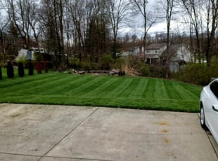 Jackie T.'s Lawn Service service result