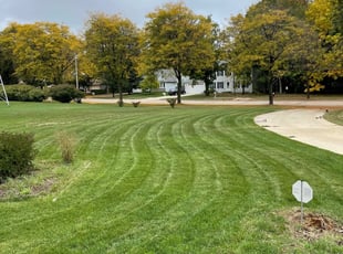 Liz G.'s Lawn Care service result