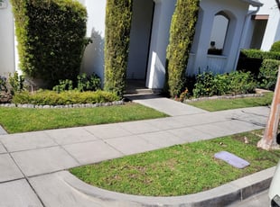 Kevin S.'s Lawn Service service result