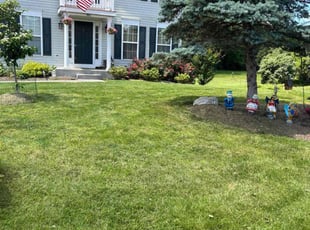 Vivian M.'s Lawn Care service result