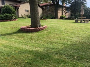 Diana B.'s Lawn Care service result