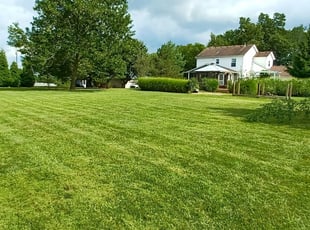 Kevin M.'s Grass Cutting service result