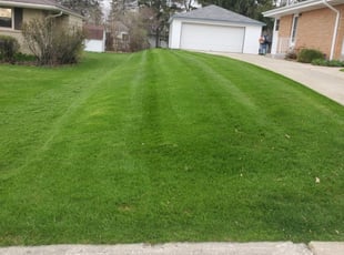 Topher M.'s Lawn Service service result