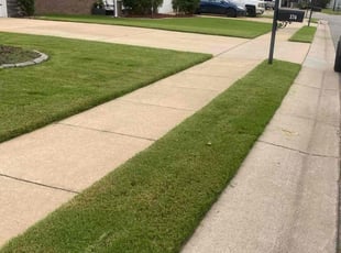 Winter H.'s Lawn Mowing service result