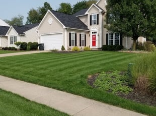 Char s.'s Lawn Mowing service result