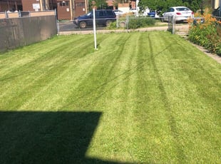John S.'s Lawn Mowing Service service result