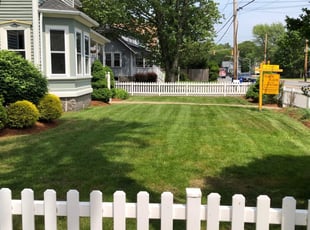Mary G.'s Lawn Mowing service result