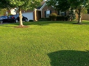 Catherine C.'s Lawn Mowing service result