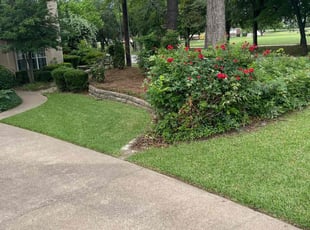 Tina P.'s Lawn Maintenance service result