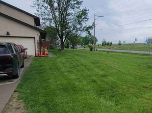 Teresa H.'s Lawn Care service result
