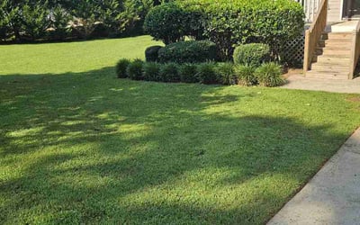 Photo of Roy T.'s yard after getting tree care in Winder, GA