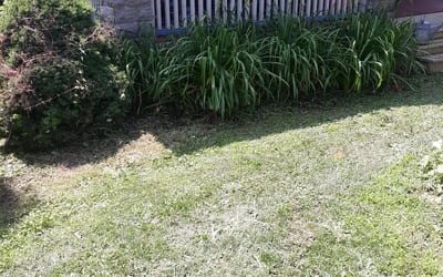 Photo of Kelly G.'s yard after getting landscaping in Victor, NY
