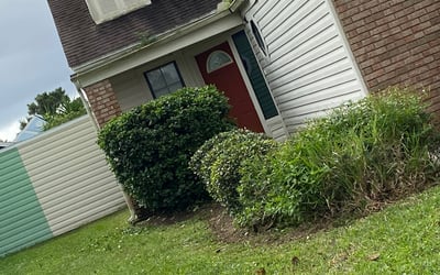 Photo of Jason M.'s yard after getting landscaping in Ponte Vedra, FL