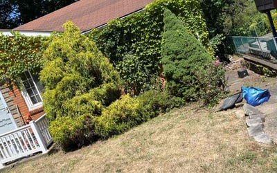 Photo of Patricia D.'s yard after getting landscaping in Cranberry Twp, PA