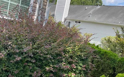 Photo of Daisy B.'s yard after getting landscaping in Bowdon, GA