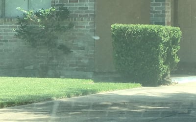 Photo of Stephen S.'s yard after getting landscaping in Liberty, TX