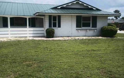 Photo of Leah H.'s yard after getting tree care in Dunedin, FL