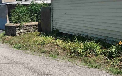 Photo of Jon C.'s yard after getting landscaping in Osawatomie, KS