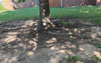 Photo of Skeeter L.'s yard after getting tree care in Norman, OK