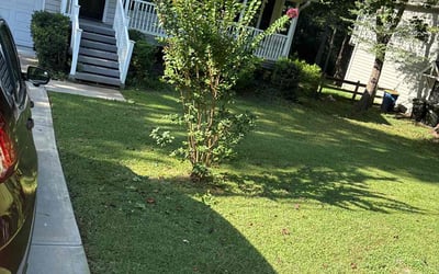 Photo of Jayme S.'s yard after getting tree care in Senoia, GA