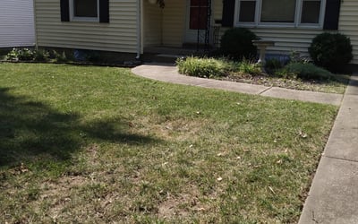Photo of Sarah S.'s yard after getting landscaping in Kidder, MO