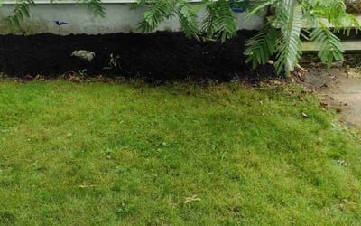 Photo of Sam S.'s yard after getting landscaping in New Haven, CT