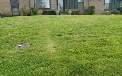 Photo of Penelope B.'s yard after getting landscaping in Mount Pleasant, TN