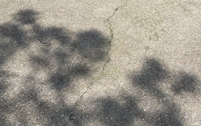 Photo of Wendy G.'s yard after getting landscaping in Saint Amant, LA