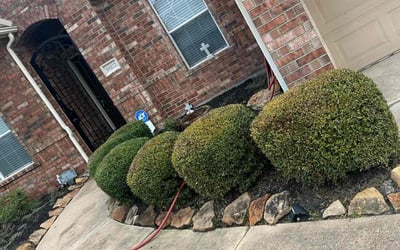 Photo of Michael S.'s yard after getting landscaping in Danciger, TX