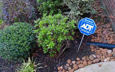 Photo of Chris S.'s yard after getting landscaping in Hitchcock, TX