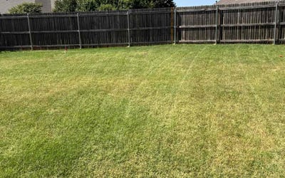 Photo of Alesha B.'s yard after getting landscaping in Chandler, OK