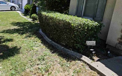 Photo of Robin J.'s yard after getting landscaping in Camino, CA