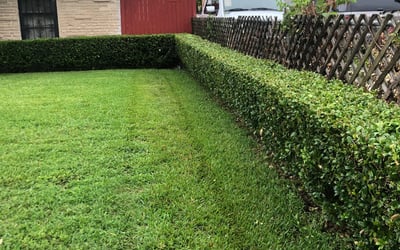 Photo of Cathy M.'s yard after getting landscaping in Elmo, TX