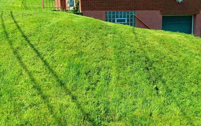 Photo of Joe L.'s yard after getting landscaping in Aliquippa, PA