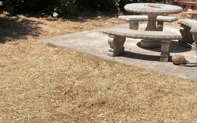 Photo of William S.'s yard after getting landscaping in Reedley, CA