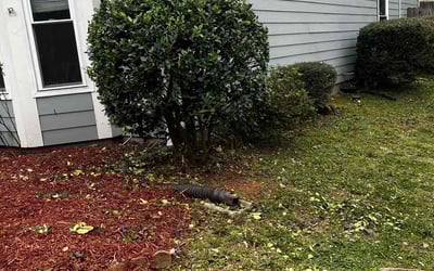 Photo of Danielle P.'s yard after getting landscaping in Marietta, GA