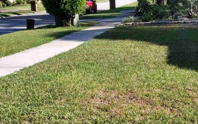 Photo of Sanders P.'s yard after getting landscaping in Elkton, FL