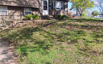 Photo of Molly C.'s yard after getting landscaping in Lansing, KS