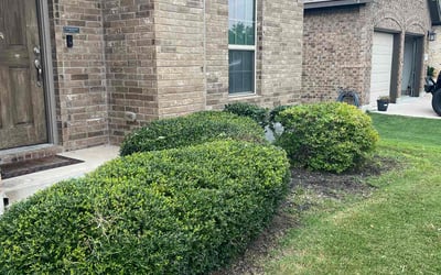 Photo of Sylvia H.'s yard after getting landscaping in Fentress, TX