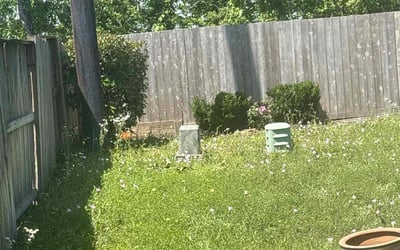 Photo of Sandra G.'s yard after getting landscaping in Rosharon, TX
