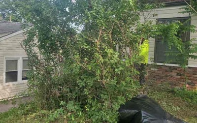 Photo of Jacqueline N.'s yard after getting landscaping in Camden Point, MO