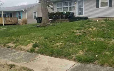 Photo of Starlena W.'s yard after getting landscaping in West Chester, OH