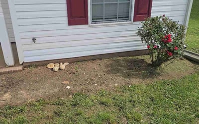 Photo of Sasha G.'s yard after getting landscaping in Monroe, NC