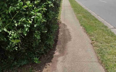 Photo of Laura H.'s yard after getting landscaping in Richburg, SC