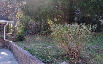 Photo of Francine W.'s yard after getting landscaping in Felton, GA