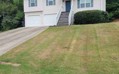 Photo of Ishy M.'s yard after getting tree care in Atlanta, GA