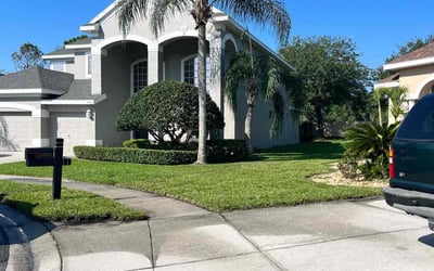 Photo of Michael G.'s yard after getting landscaping in Crystal Springs, FL