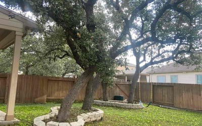 Photo of Cynthia K.'s yard after getting landscaping in Bergheim, TX