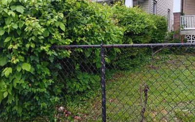 Photo of Chandra W.'s yard after getting landscaping in District Heights, MD